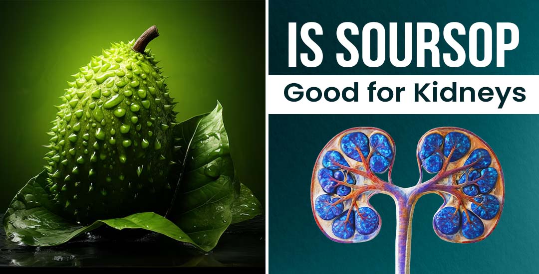 Is Soursop Good for Kidneys?
